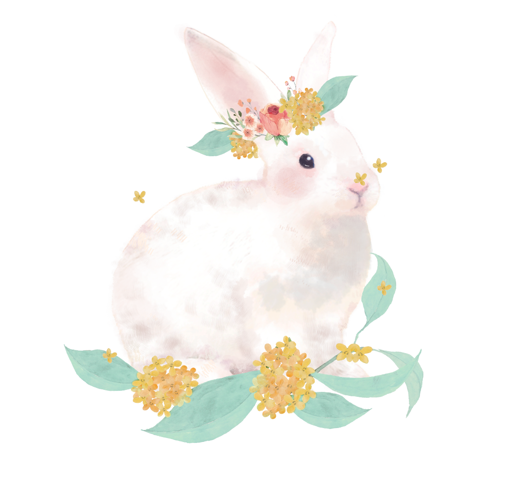 Bibiday 公式 ツーウェイワールド 株 化粧品卸商社問屋輸出 Pb化粧品 メイク品